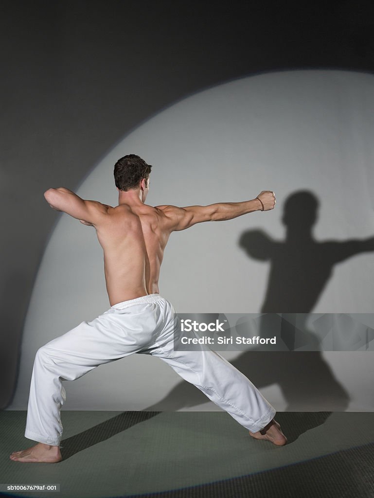 Male martial artist performing move, studio shot  Fighting Stance Stock Photo