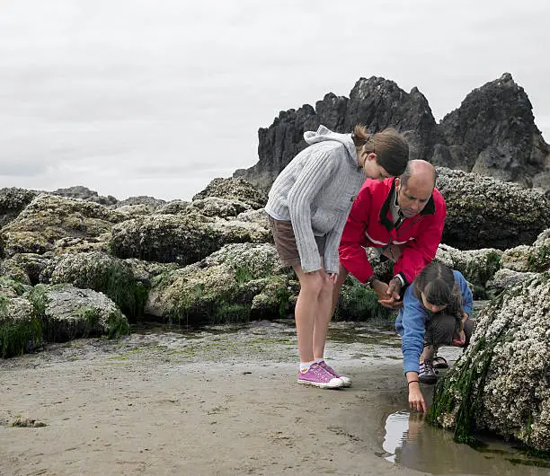 Photo of Father with children (8-13) searching tide pool on beach