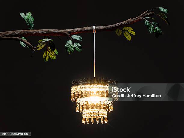 Kristalllüster Hängen Von Tree Branch Beleuchtet Bei Nacht Stockfoto und mehr Bilder von Kronleuchter