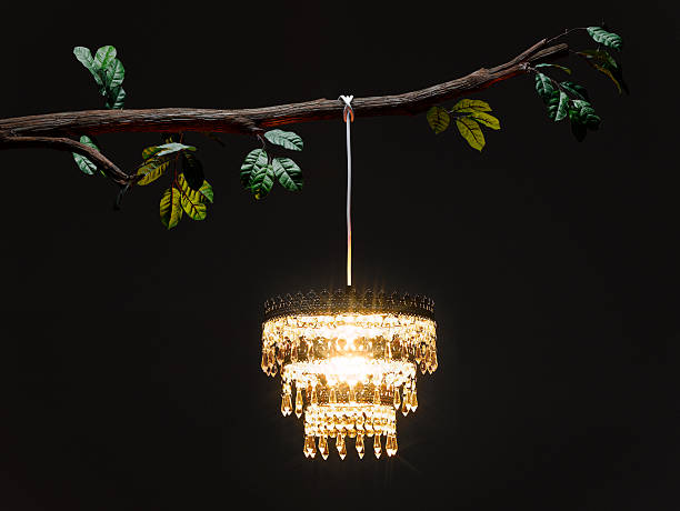lampadario appeso ramo della struttura ad albero, illuminato di notte - chandelier foto e immagini stock