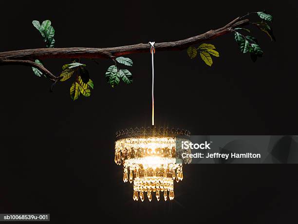 Chandelier Hanging From Tree Branch Illuminated At Night Stock Photo - Download Image Now