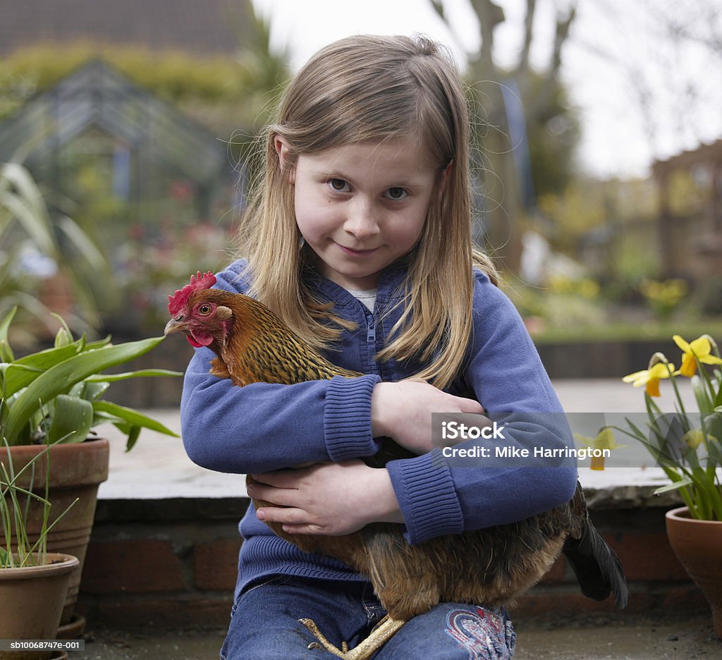 Girl (8-9) holding chicken, smiling, portrait Norwich Chicken - Bird Stock Photo