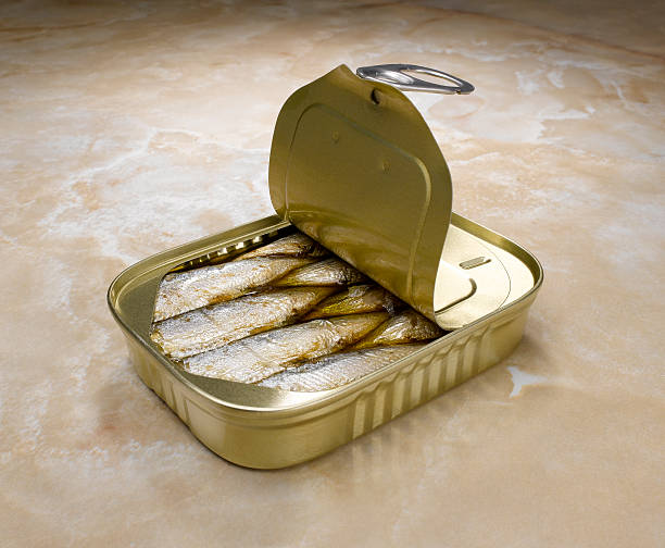 Open sardine can, studio shot  sardine photos stock pictures, royalty-free photos & images