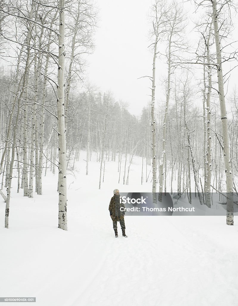 Mulher Madura em pé com Neve - Royalty-free 50-54 anos Foto de stock