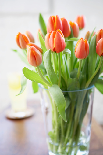 Orange tulips on grey background. Flower garland for your creativity, inspiration, greeting card. Pano.
