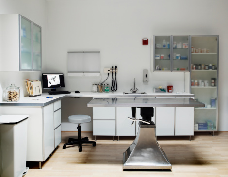 Veterinarian examination room, digital xray on monitor screen photo