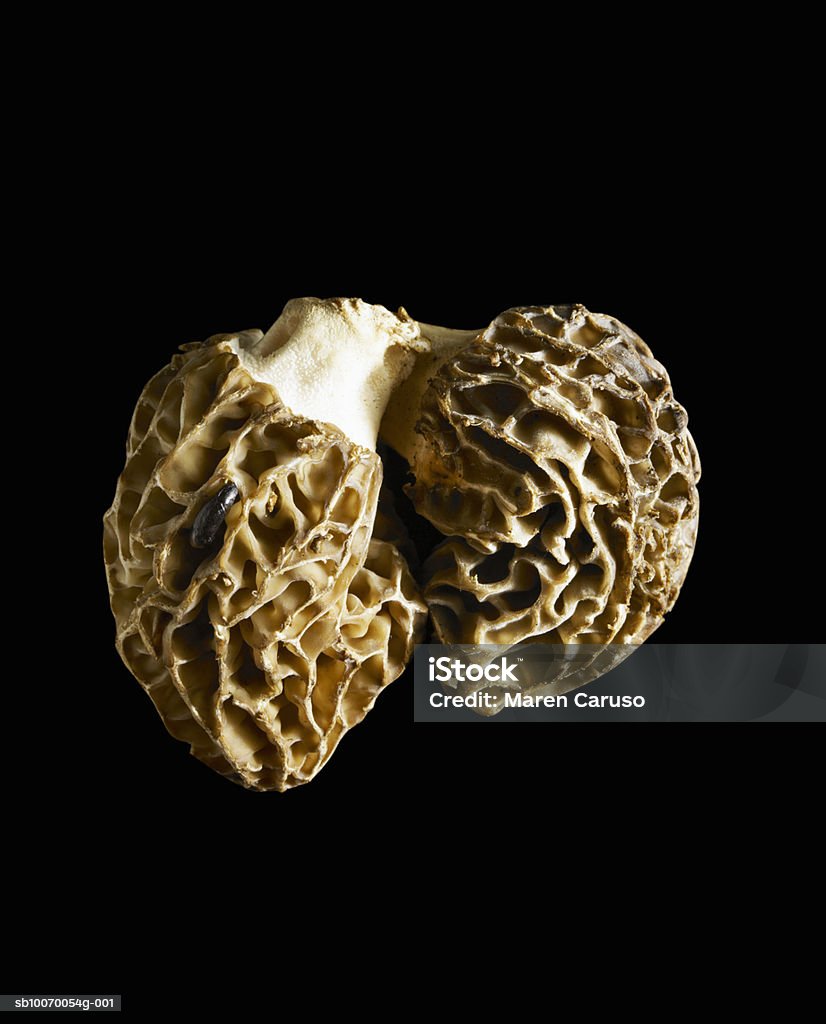 Close-up of white truffle on black background  Black Background Stock Photo