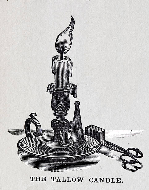 19th century illustration Tallow Candle vector art illustration