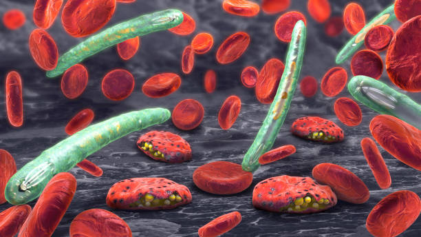 stockillustraties, clipart, cartoons en iconen met 3d illustratie van cellen van het bloed, veroorzaakt de ziekte malaria plasmodium - malaria
