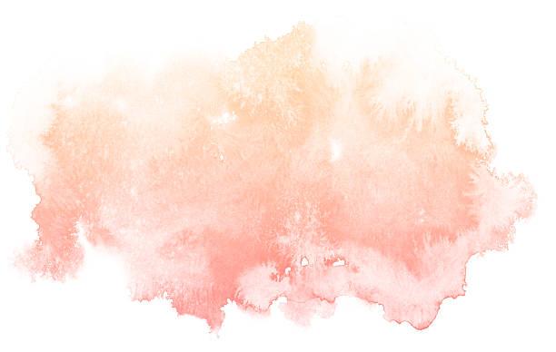 Abstract cream watercolor background. Abstract cream watercolor on white background.The color splashing on the paper.It is a hand drawn. watercolor background stock illustrations