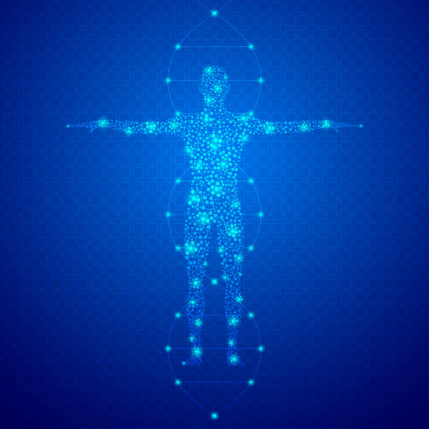 Abstract human body with molecules DNA Abstract human body with molecules DNA illustration dna silhouettes stock illustrations