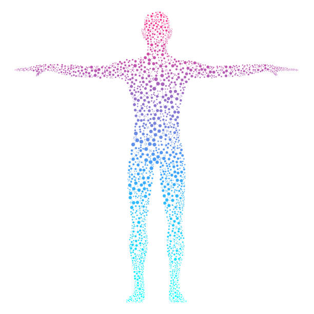 Abstract human body with molecules DNA Abstract human body with molecules DNA illustration dna silhouettes stock illustrations