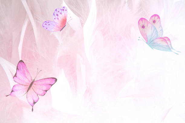 Abstract wedding horizontal butterfly background. Pastel light pink backdrop vector art illustration