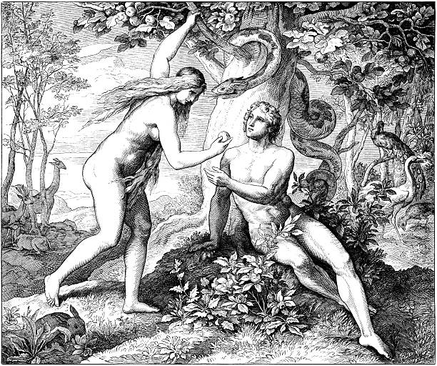 adam &amp; eve eat forbidden fruit - mimari illüstrasyonlar stock illustrations
