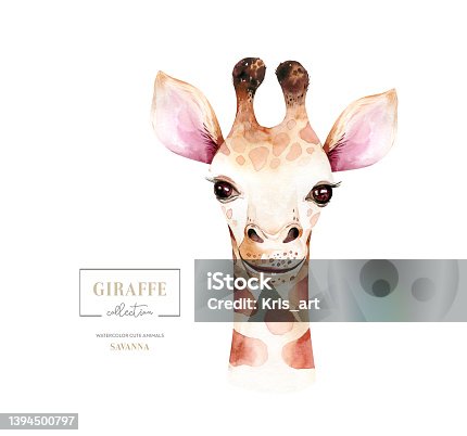 istock Africa watercolor savanna giraffe, animal illustration. African Safari wild cute exotic animals face portrait character. Isolated on white poster design 1394500797