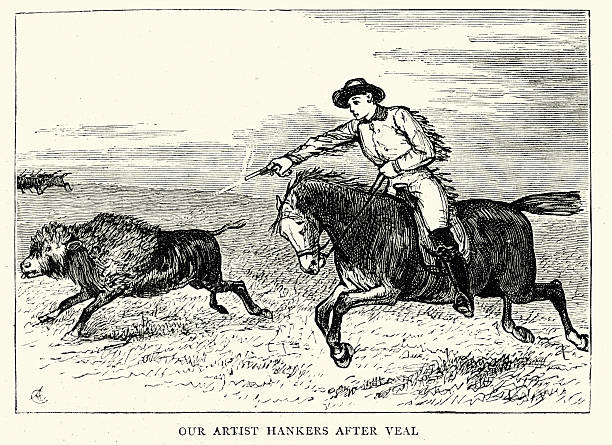 American Far West - Hunting Buffalo Calf 1874 Vintage engraving of a hunter shooting at a Buffalo calf with a pistol from horseback, in the American Wild West. The Graphic, 1874 buffalo shooting stock illustrations