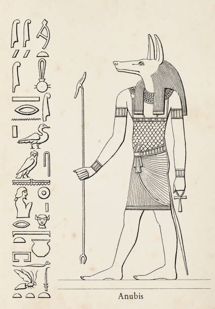 Ancient egyptian hieroglyph of Anubis goddess of death vector art illustration