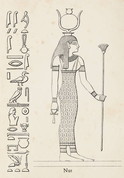 Ancient egyptian hieroglyph of Nut goddess of the sky vector art illustration
