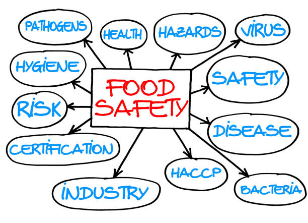 ilustrações de stock, clip art, desenhos animados e ícones de haccp (hazard analyses and critical control points) and food safety quality control in food industry - "ninfograph layout concept - haccp