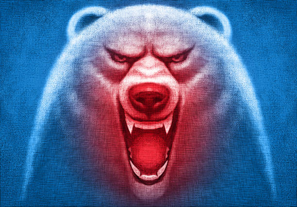 angry polar bear head digital painting / raster illustration of angry polar bear head bear growling stock illustrations