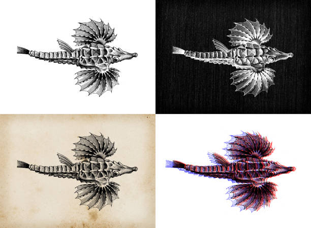 Dragonfish插圖和矢量圖形 Istock