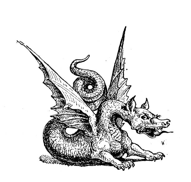 Antique illustration: Dragon vector art illustration