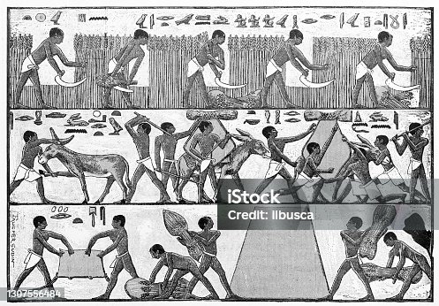 istock Antique illustration: Egyptian farmers hieroglyph 1307556484