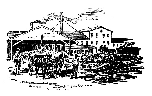 Antique illustration of USA, Texas landmarks and companies: Houston, Sugar Mill
