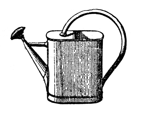 Antique illustration of watering can