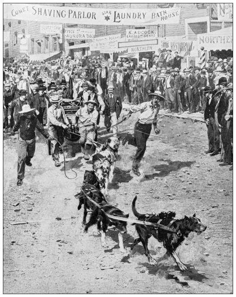 Antique photo: Klondike Gold Rush, Dogs pulling water pump, Dawson vector art illustration