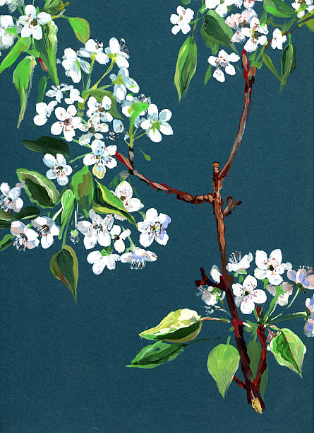Apple in bloom vector art illustration
