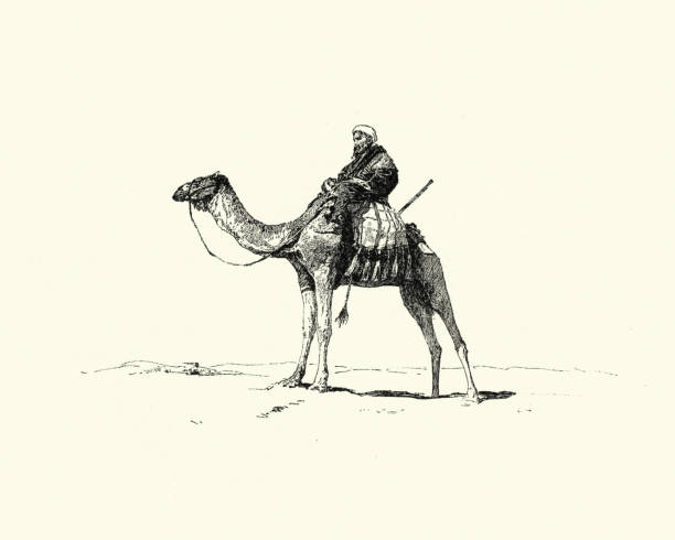 Arab riding a camel, 19th Century vector art illustration