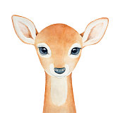 istock Baby Deer character portrait. 962168424