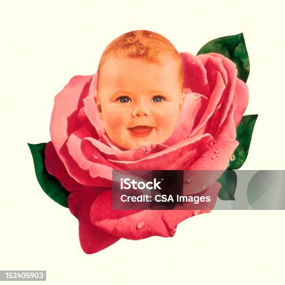 istock Baby in Pink Rose 152405903
