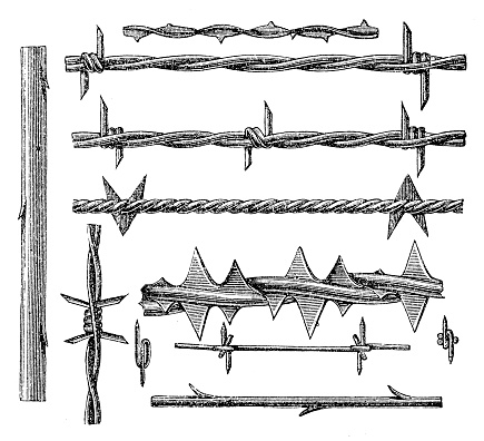 Illustration engraving of a Barbed Wire