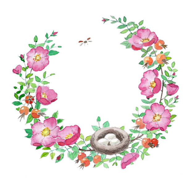 Beautiful cosy vintage hand drawn watercolor pink rosehip wreath frame vector art illustration
