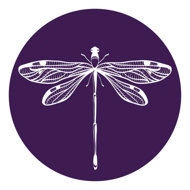 Best Dragonfly Illustrations, Royalty-Free Vector Graphics ...