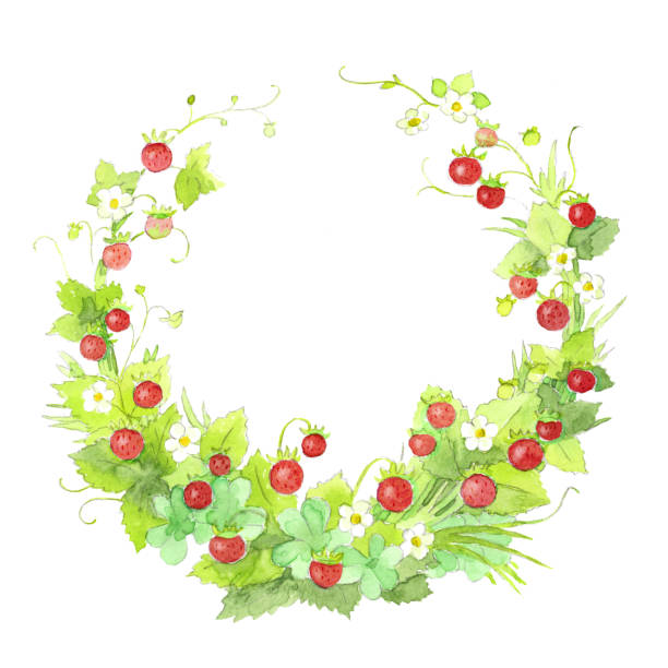 Beautiful elegant fresh watercolor wild strawberry wreath frame vector art illustration