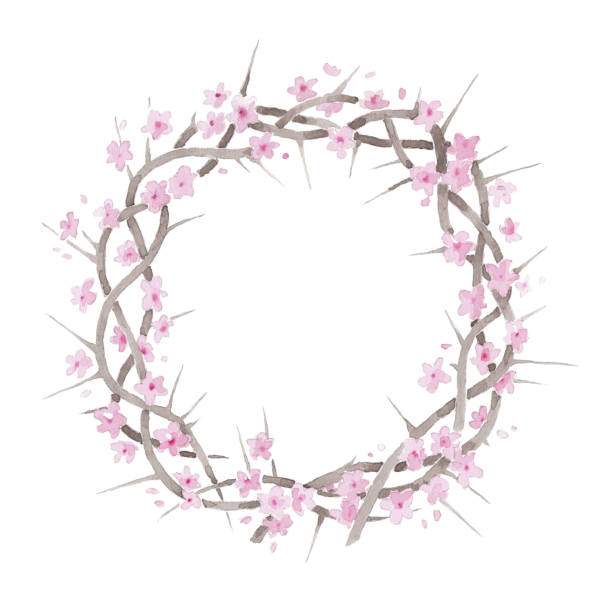 Beautiful elegant watercolor flowering blooming crown of thorns resurrection illustration vector art illustration