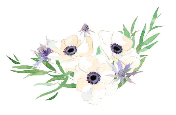 Beautiful retro vintage hand drawn watercolor flower anemones wedding save the date composition vector art illustration