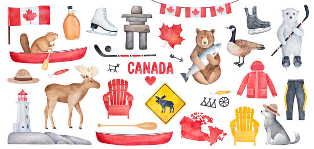 Big Canada Set with various symbols like national flag, maple syrup bottle, lighthouse, hockey skates. Handdrawn watercolour paint on white background, cutout clipart for creative design decoration. Hand drawn watercolor illustration. canada illustrations stock illustrations