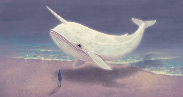 Big white whale vector art illustration