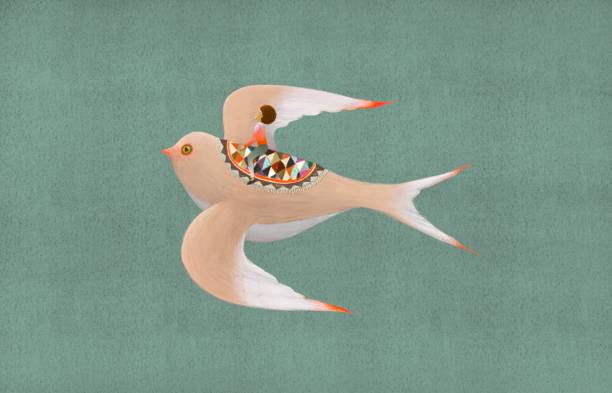 Bird vector art illustration