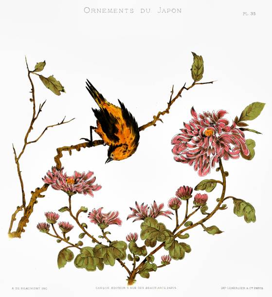 illustrazioni stock, clip art, cartoni animati e icone di tendenza di uccelli e fiori. dal giappone ornamenti 1883 - eitan