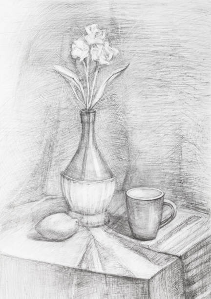 12,12 Still Life Drawing Stock Photos, Pictures & Royalty-Free