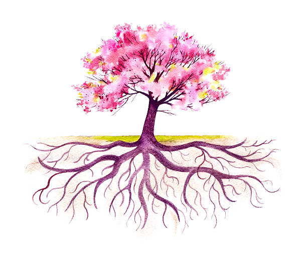Blooming Tree With A Strong Root System vector art illustration