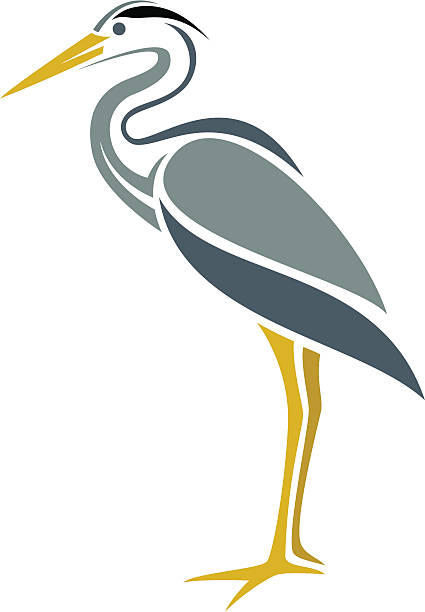 Blue Heron Stylized Great Blue Heron heron family stock illustrations