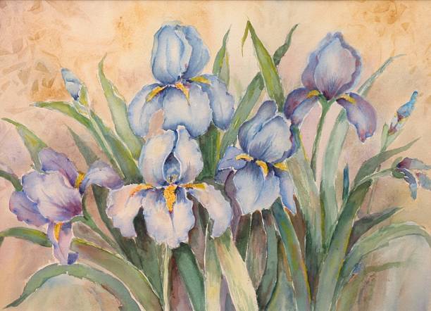 Blue Irises Watercolor painting vector art illustration