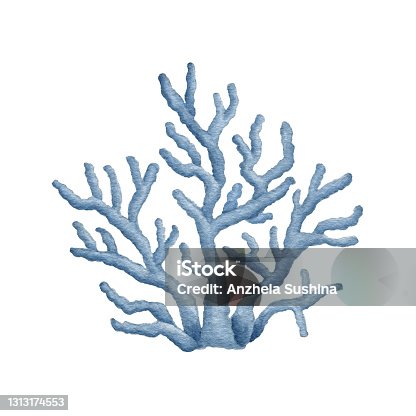 istock Blue watercolor Ocean Coral. Hand drawn Underwater Seaweed. Coral Reef object. Sea Life. Hand drawn Marine element isolated 1313174553