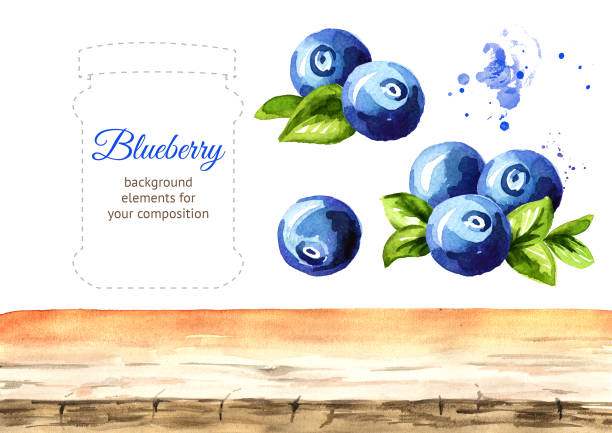 Blueberry background elements. Watercolor hand drawn illustration, isolated on white background Blueberry background elements. Watercolor hand drawn illustration, isolated on white background blueberry illustrations stock illustrations